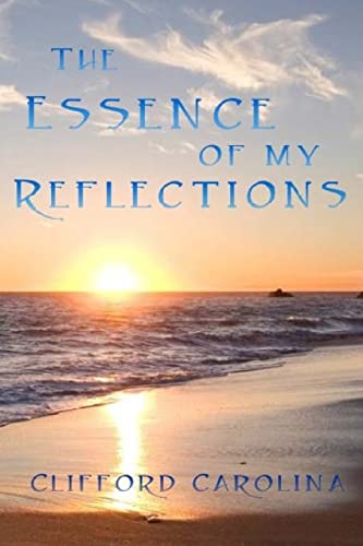 The Essence of My Reflections