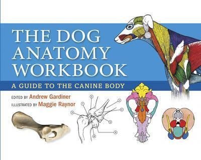 The Dog Anatomy Workbook : A Learning Aid for Students(Hardback) - 2014 Edition