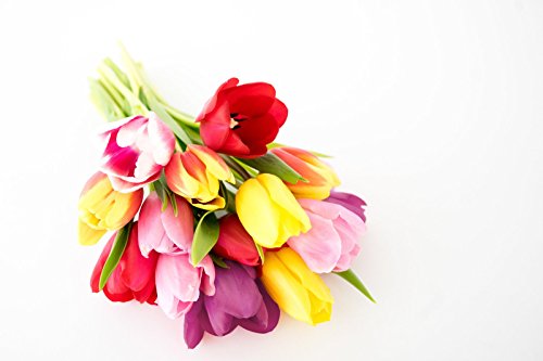 From You Flowers Rainbow Tulip Bouquet - 15 Stems With Glass Vase (Fresh Flower Bouquets) Birthday thumb #5
