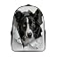 Collies