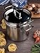 Le Creuset Pastatopf aus 3-ply Edelstahl mit Deckel und Sieb, Ø 20 cm, Für alle Herdarten inkl. Induktion geeignet, Silber, 96200520001000