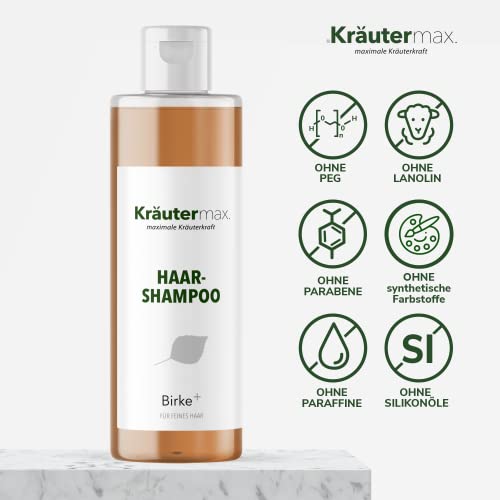 Birkenshampoo Haare Birke Shampoo Haarshampoo zur Haarpflege 1 x 250 ml