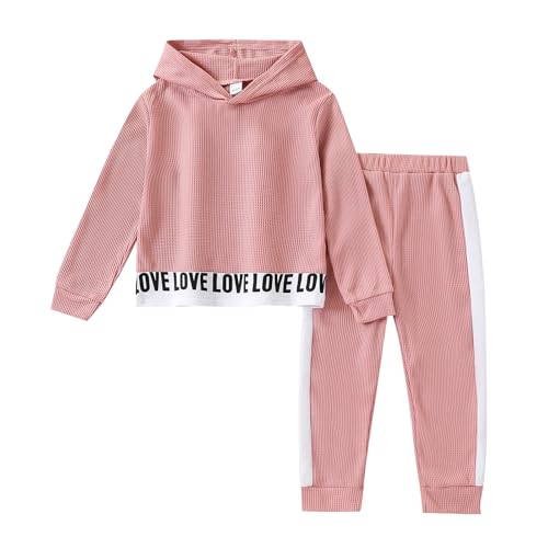 Toddler Girls Color Block Hoodie Sweatsuit Set