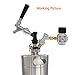 Double Ball Lock Mini Keg Dispenser,304 Stainless Steel Mini Keg Tap Dispenser with 20'' beer hose for Mini Craft Beer Keg Growler Homebrew Spear