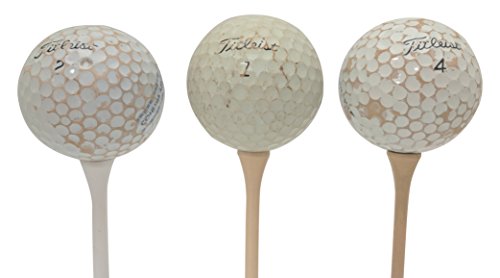 Titleist Pro V1 Practice Quality Golf Ball (Pack of 24), Small