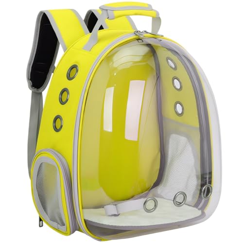 YQYQY FDfUC ybgbN y e L ^ L[obO  h[ ʋC UVJbg ܂肽 RpNg bNTbN  nX^[  o ʉ@ s ԍ h  ybgJtF nEX 