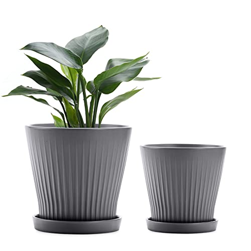 FairyLavie Macetero 19+14,5 cm Gris Oscuro Cover