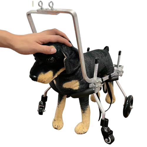 Adjustable Dog Front Legs Wheelchair & Stroller - Supports Mobility for Dogs with Front Leg or Hip Issues, Lightweight & Durable Pet Mobility Aid