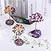 Ytbeoxk Amethyst Crystal Tree of Life,Money Tree Decorations,Crystals and Healing Stones,Reiki Positive Energy Gemstones,Purple Room Office Desk Feng Shui Decor Meditation Gifts for Women