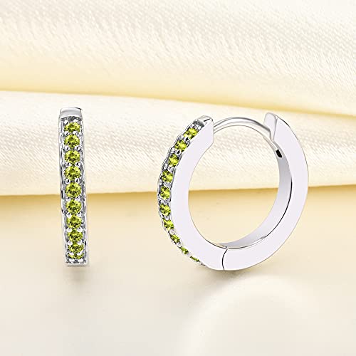 YL Round Huggie Earrings 925 Sterling Silver Halo Hoop Earrings Birthstone Jewelry for Women4