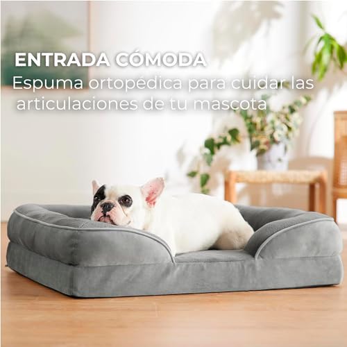 Mascotas, Pet Products Imagen adicional