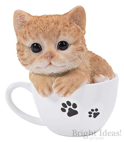 Pet Pals Gatito de Jengibre en Taza de té