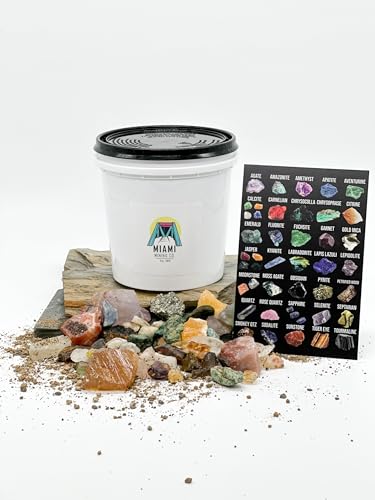 3 lbs Premium Crystal Mining Bucket Kit - Explore, Discover, and Learn with Assorted Gemstones & Mining Rough - Educational Geological Adventure for Kids & Adults