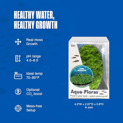 Penn-Plax Aqua-Flora Aquarium Living Resin Decoration with Embedded Glosso Plant Seeds – Moss Patch – Safe and Healthy for Freshwater Fish