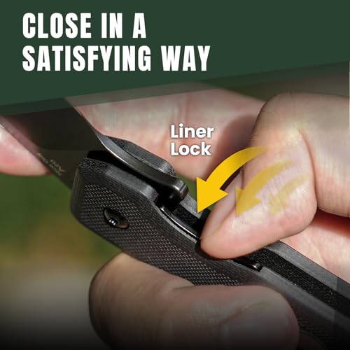 Kizer Nice Guy Pocket Folding Knife, 2.84” D2 Blade knives, G10 Handle - image 5