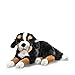 Produktbild Steiff Kuscheltier Senni Berner Sennenhund, Süßes Stofftier mit Kunststoffaugen, Kinder, Jungen & Mädchen, Plüschtier 45 cm, Schwarz, 079528