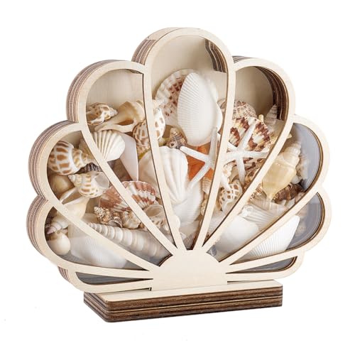 PH PandaHall Shell Display Case, 7.8x7 inch Wooden Seashell Shadow Box with Clear Window Wood Shell Holder Seashell Shaped Display Box for Coastal Beach Room Bedroom Home Vacation Decoration