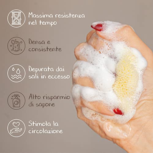 Spugna Neonato Bagnetto [ 2 Unità ], Spugnetta di