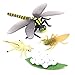 Vrttlkkfe Cycle de Vie d'une Libellule Insectes Cycles de Vie ModèLe de Croissance Enfants Cycle de Croissance Animale Science Jouets éDucatifs