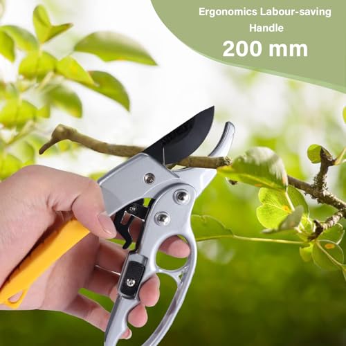 Image of Oblivion Gardening Shears 200mm - Heavy-Duty Sharp Garden Shears Pruning Machine, Durable Professional Pruning Tool for Trees, Shrubs & Plants, Versatile Easy-Cut Handheld Trimming Machine (Pack of 1)