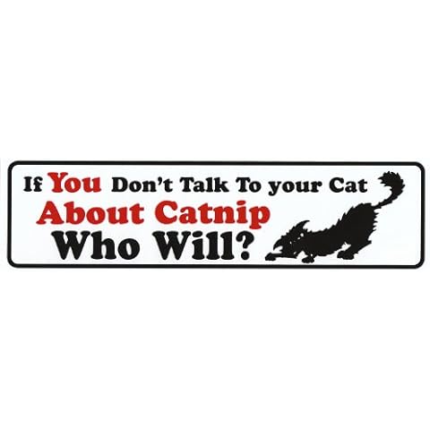 Bumper Sticker: If You Don't Talk to Your Cat About Catnip Who Will? Cover
