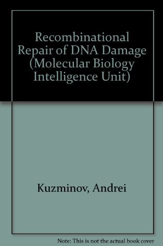 Preisvergleich Produktbild Recombinational Repair of DNA Damage (Molecular Biology Intelligence Unit)