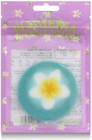 Hastha Kalalu  Modelo funcional hecho a mano de colorido rikshawtriciclo (Kondapalli Toys)