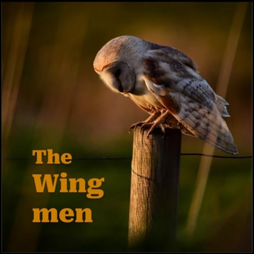 Owl Along The Watchtower