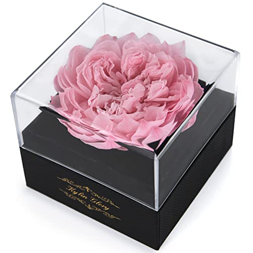 Fresh Cut Flower Preserved Peony for Women Mom Wife Girlfriend - Flower Gift Real Peony Decor for Mother's Day Valentine's Day Wedding Party Celebration Birthday Anniversary (Cherry Pink)
