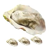 Toddmomy 4 Stück Simulationsmodell Für Meeresfrüchte Austern Set Künstliche Lebensmittel Deko Für Fischrestaurant Fotorequisite Kinderküche Spielzeug