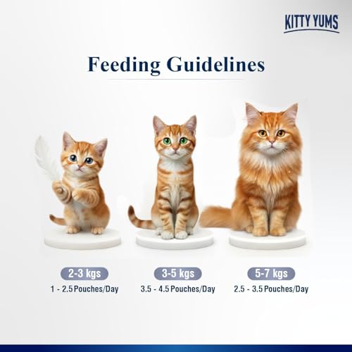 Image of Kitty Yums Adult Cat Wet Mousse 80g | Chicken | Rich in Protein | Promotes Hydration & Easy to Digest | Grain Free | No Artificial Flavours | Packed with Essential Vitamins & Antioxidants