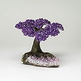 The Protection Tree - Medium Genuine Amethyst Clustered Gemstone Tree on Amethyst Matrix
