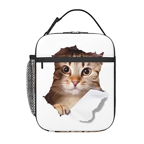 FYCFSLMY Cute Animals Cat Outdoor Insulated Lunchbox Reusable Picnic Cooler Bag For Women Men Work Travel Office