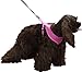 HDP Soft Dog Puppy Mesh Harness/Travel System Size:Medium Color:Black