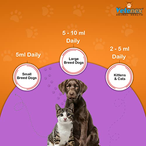 Image of Pet Plex - Vitamin B-Complex & Amino Acids Supplement Syrup | Better Health & Growth for Dogs, Puppy and Cats - 200 ML