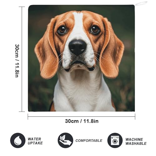 Serviettes de cuisine microfibre ultra absorbantes motif Beagle