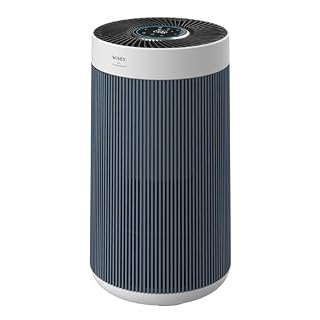 WINIX T830 Air Purifier for Home Extra Large Room Up to 1968 Ft² in 1 Hr With Smart Wi-Fi, Air Quality Monitor, True HEPA, Carbon Filter and Auto Mode, Captures Pet Allergies, Smoke, Dust
