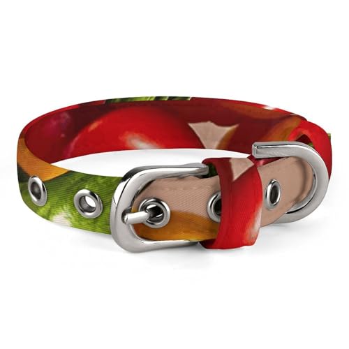 Collier réglable pour chien : stop aux fuites de vos petits animaux