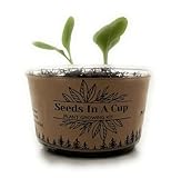 Seeds In A Cup | Plant Grow Kit | Lettuce | Vegetable and Herb Seed Starter Kit for Kids & Adults | Urban Garden Grow Kit | Guaranteed to Grow | Best Grow Your Own Plant Gardening Gift
