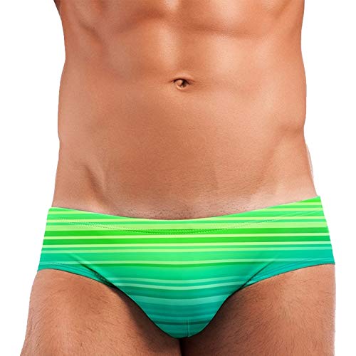 Men's Sexy Low Rise Swim Briefs Bikini Swimsuits Striped Trunks Swimwear