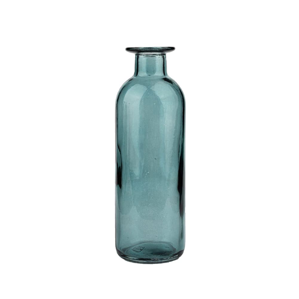 Vase en verre pour centres de table de salon et décoration végétale hydroponique de bureau