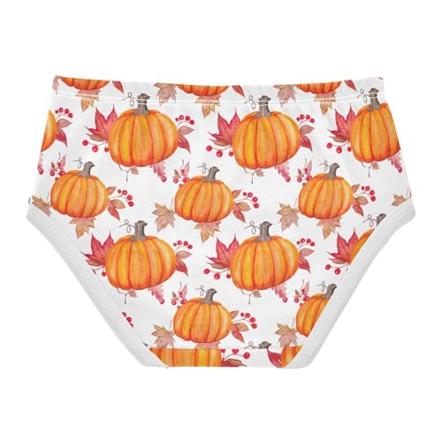 Joisal Watercolor Pumpkins Girls Underwear Toddlers 2t Cotton Girl Panties Cute Fun Underpants Briefs2