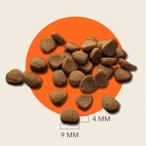 IAMS Senior 11+ Dry Cat Food Chicken 3kg - Supports Healthy Ageing - Image 6