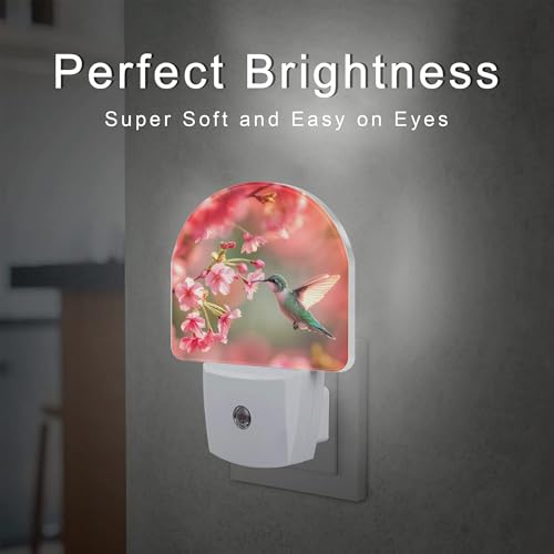 Image of Hummingbird with Cherry Blossoms Night Light Plug into Wall, Pink Flowers Bird Dusk to Dawn Night Light,0.5w Energy Saving Sleep Friendly Nightlight for Kids Boys Girls Home
