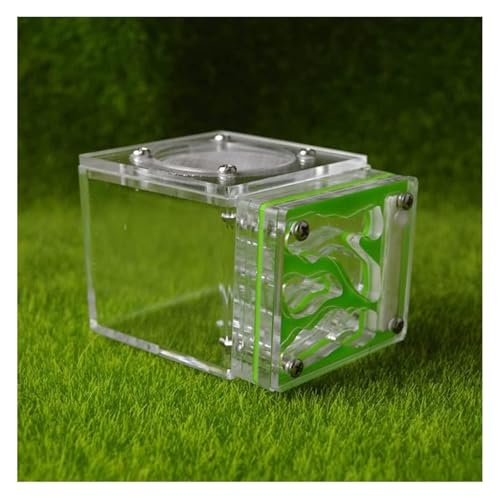 EYRMQWJPC Ameisenburg Acryl Ameisenfarm Terrarium