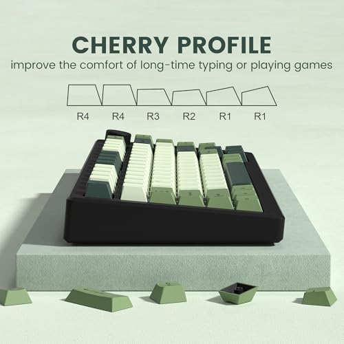 Image of dagaladoo Keyboard keycaps Set, Double Shot PBT keycaps,Cherry Profile Custom Key caps 60 65 75 100 Percent for Cherry-mx Full Size Retro Mechanical Keyboard,Matcha Green