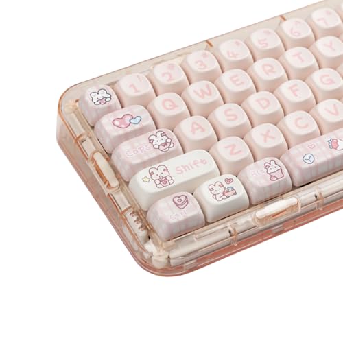 Touches ISO/ANSI Dye Sub Keycaps MOA pour clavier mécanique contre l'effacement