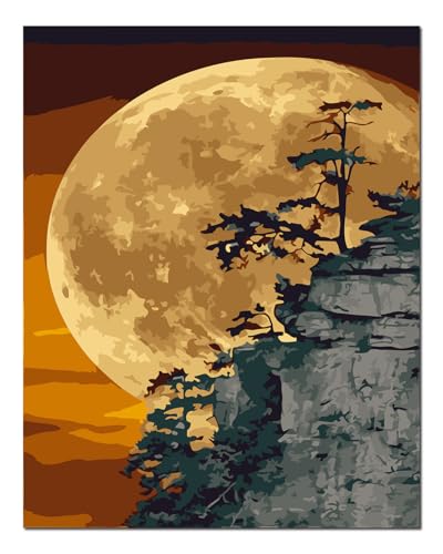 Kit peinture par numéros lune et arbre 40x50 cm avec cadre bois à monter soi-même Shukqueen