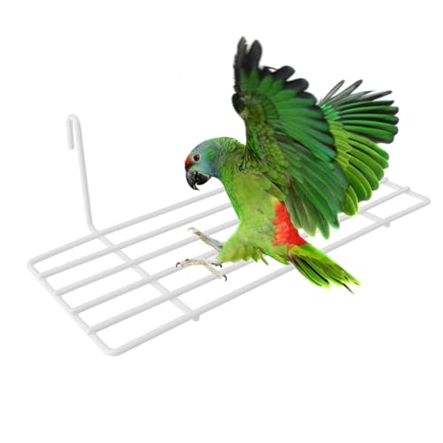 Image of Iron Frame Bird Cage Perch Shelf with Hanging Hooks - Sturdy Wire Platform for Perching, Climbing & Resting - for Small to Medium Parrots, Cockatiels, Finches