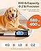 VEVOR 880Lbs x 0.2Lbs Livestock Scale Shipping Scales Large Platform 40.6x20.9Inch Stainless Steel Vet Scale Industrial Floor Scale Large Animal Dog Pig Scale Goat Weight Scale Pet Digital Scale